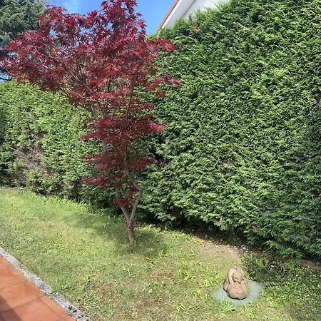 La Casa De Blanca 別荘 Candás