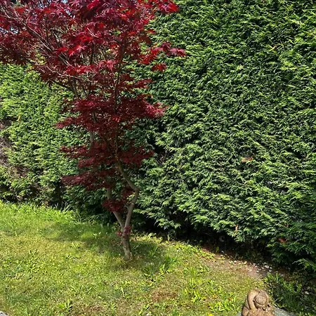 別荘 La Casa De Blanca *